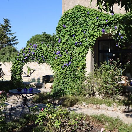 Aux Pots Bleus Bed & Breakfast Nissan-lez-Enserune Exterior photo